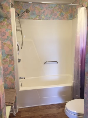 Master Bath 2