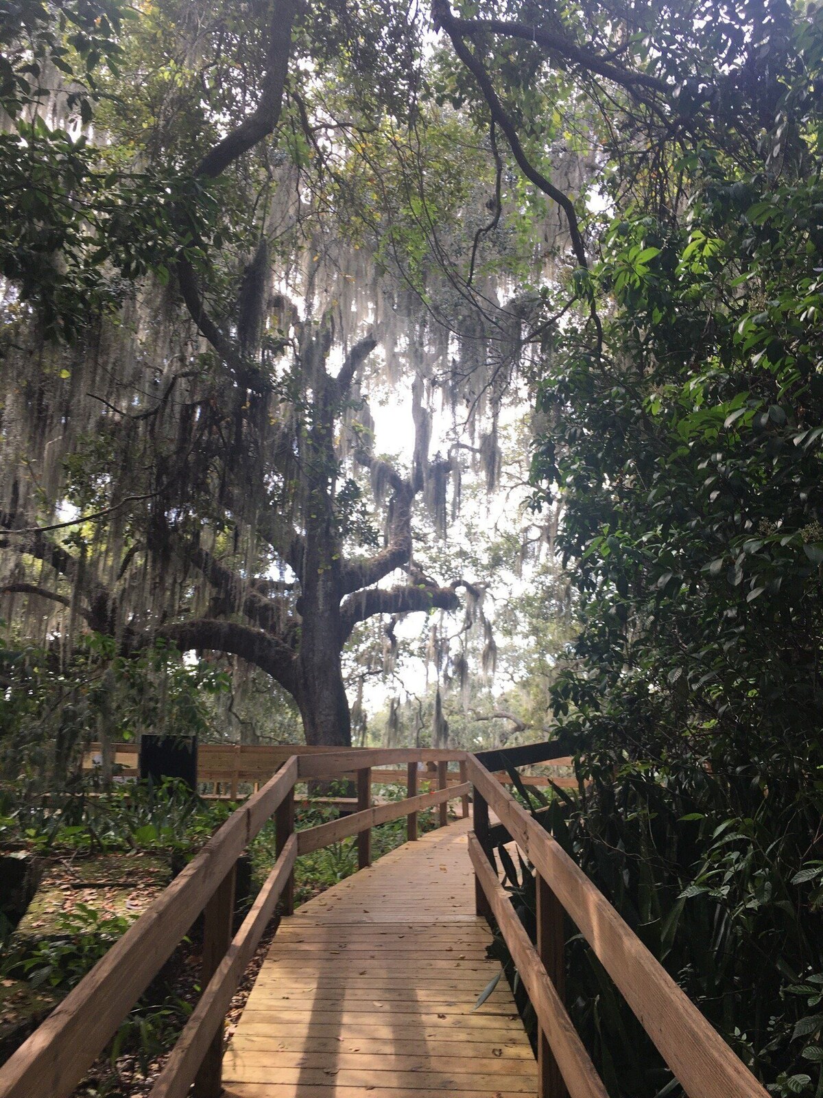 Snead Is Waterfront-Solar Heated Pool, 40 ft Dock, fishing, Kayaks, Pet Friendly
