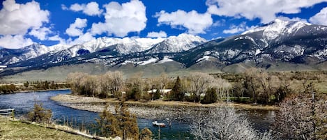 Kitchen window view.