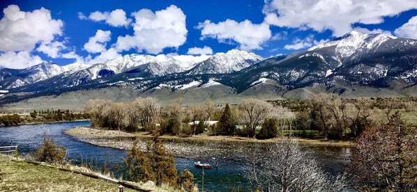 Kitchen window view.