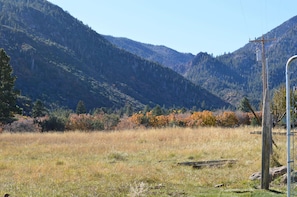 View from the back yard.