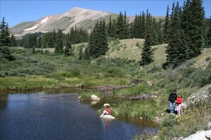 Fishing in the pond.  Catch and release please.  Also, you might see a beaver.