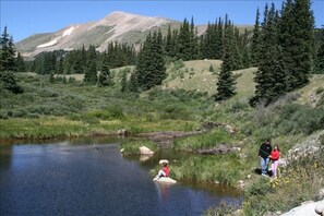 Fishing in the pond.  Catch and release please.  Also, you might see a beaver.