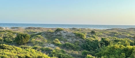 View from patio