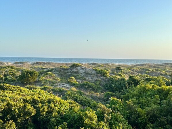 View from patio