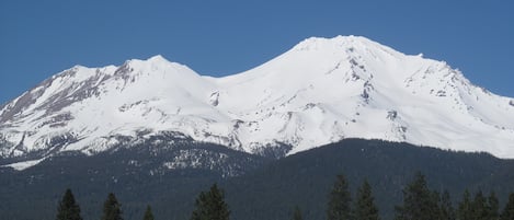 The view from the deck of the vacation rental