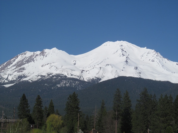 The view from the deck of the vacation rental