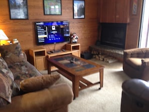 46" HDTV & DVD/CD with free Netflix & Pandora.  Free firewood for fireplace!