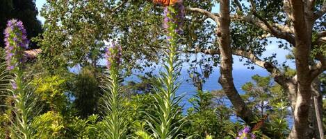 Welcome to Peace Cove! We hope you will enjoy...