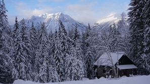 Mid-Morning Winter Sun on the Dogtooth Range behind