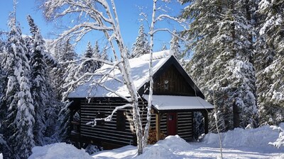 Log Dovetail Bison Cabin - Mountain Life Getaway!