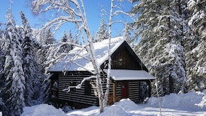 Handcrafted Dovetail Log Cabin. Your base for mountain life!