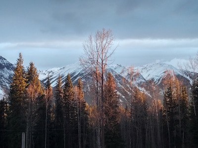 Log Dovetail Bison Cabin - Mountain Life Getaway!