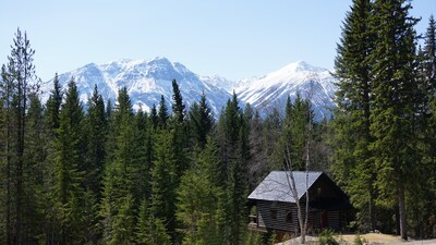 Log Dovetail Bison Cabin - Mountain Life Getaway!