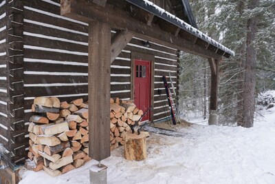 Log Dovetail Bison Cabin - Mountain Life Getaway!