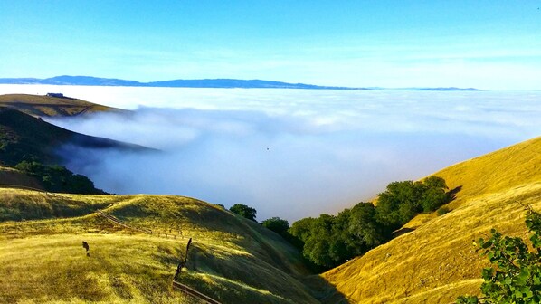 You'll be treated to spectacular views in the morning like this! peace&quiet