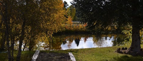 Overnatningsstedets område