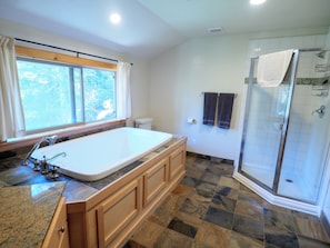 The master bathroom has a shower and a large tub