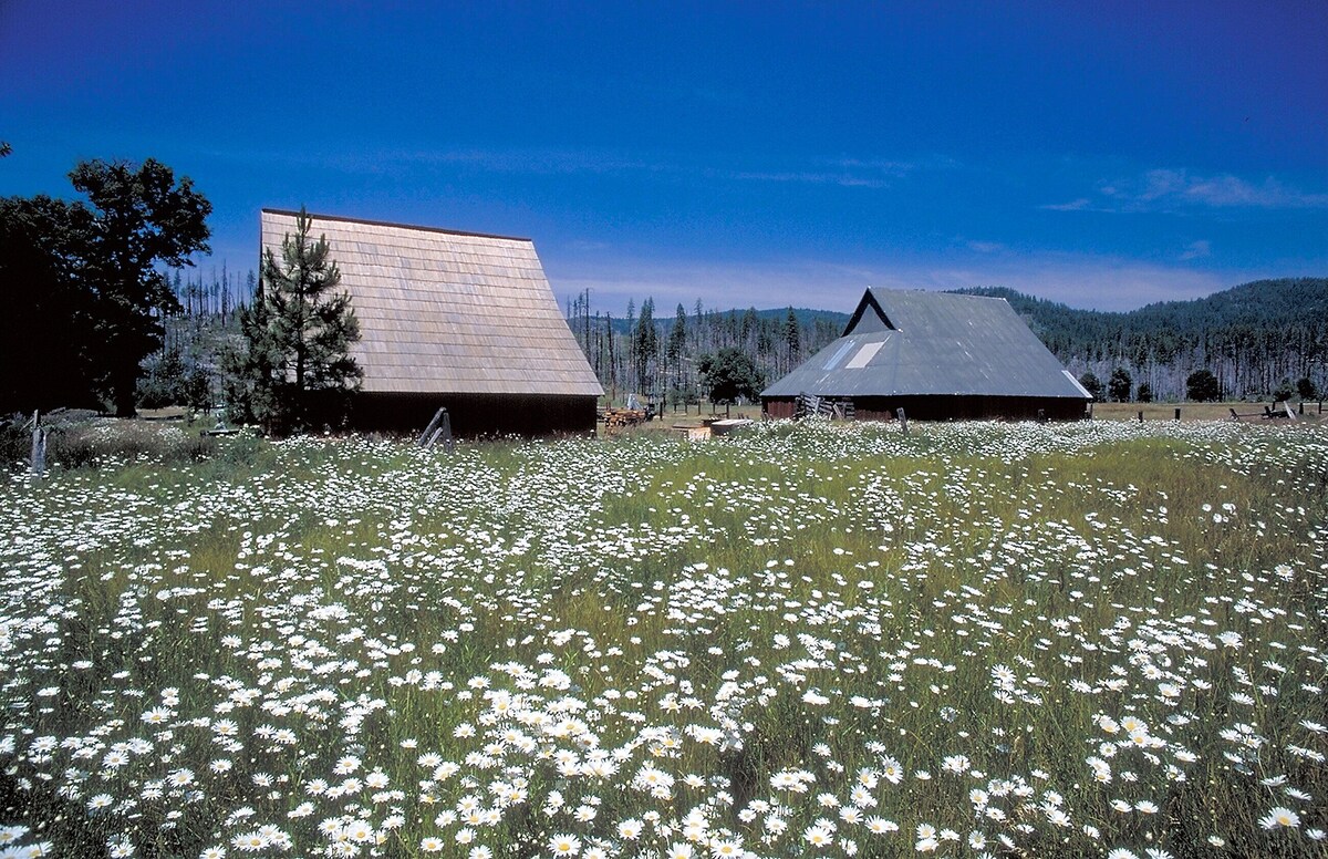 Yosemite Hilltop Cabins, Sage Cabin,15 min to the Valley floor, Wifi