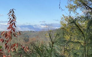 Morning view from the large wrap-around deck.