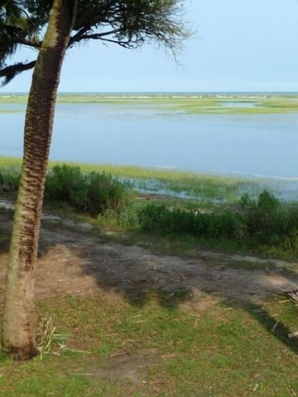 View of high tide from our front windows.