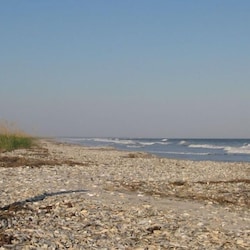 A typical day on Edingsville Beach