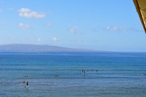 Cove Park is a favorite surf/paddle beach. Rent boards/lessons 2 blocks away.