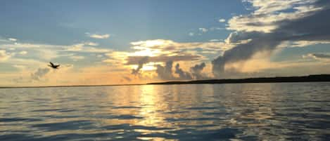 view from jetty