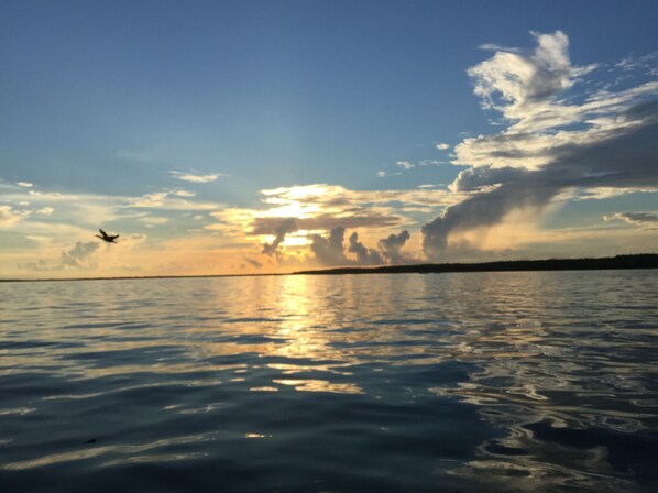 view from jetty