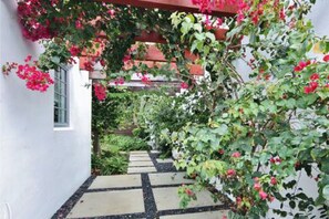 Common area courtyard