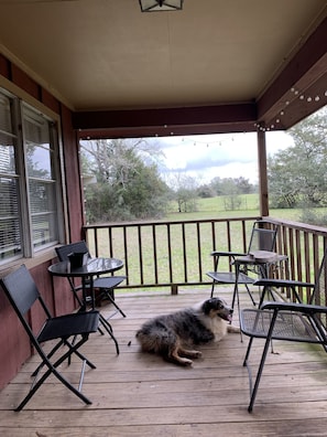 front porch with Max the Aussie who will visit if you wish