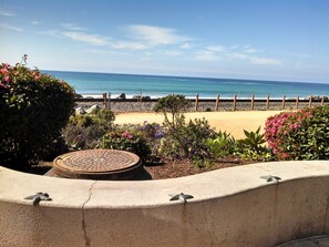 The beach trail at our canyon.  It's beautifully landscaped along 3 miles.