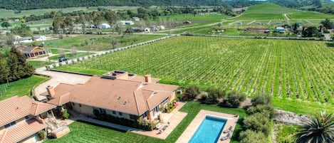 Aerial View of the Estate with A Private Vineyard