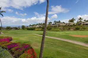 View from main lanai