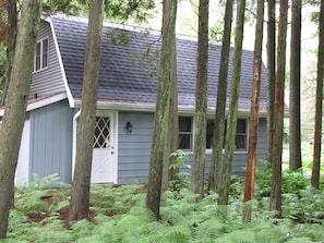 The cedar trees fragrance the air on the wooded compound.