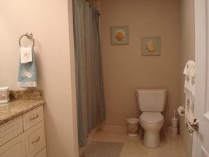 Large guest bathroom .