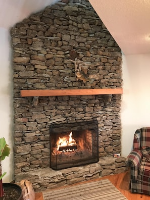 Wood burning fireplace