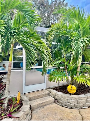 Mature Christmas Palms adorn the view.