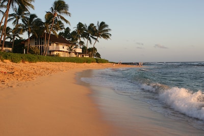 OMG! Killer Condo on Kauai's Best Beach! Extensive remodel; GR8 deal; #LIT