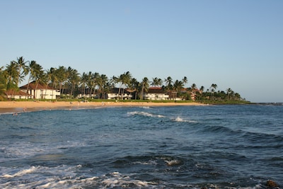 OMG! Killer Condo on Kauai's Best Beach! Extensive remodel; GR8 deal; #LIT