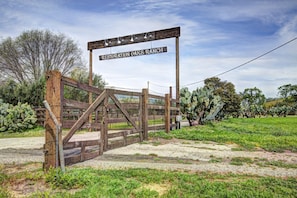 Welcome to Restoration Oaks Ranch and Santa Barbara Blueberries.