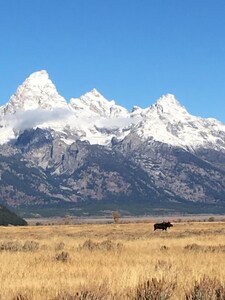 Jackson Hole Condo, Mountain Views, 5 Miles From Grand Teton Park