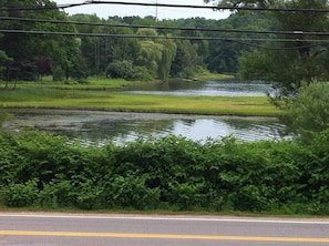 Spinney Creek across the street
