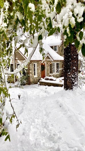 Winter Wonderland