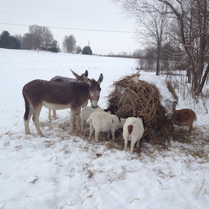 Peace And Quiet Of Country Living Yet Close To Modern Convenience.  