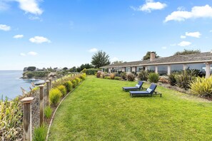 Backyard Oasis