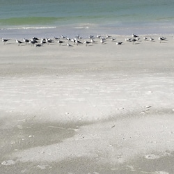 beautiful white sand beach