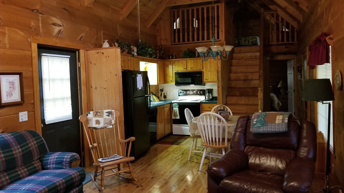 Log Cabin, Trout Pond on 17 Acres, Near Dupont State Forest, very private