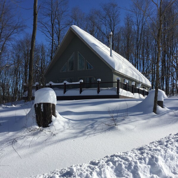 Winter Vista