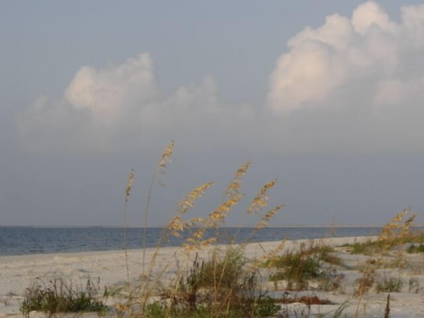 The naturally beautiful  beach on Dauphin Island.